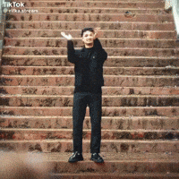 Yayahabes GIF