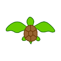 Jan_Phi turtle tortoise keep swimming eduso Sticker