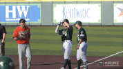 baseball wave GIF by GreenWave