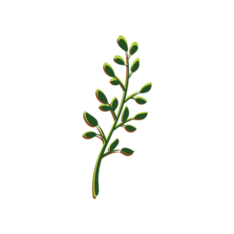 vitaveg giphygifmaker plants eco plant based Sticker