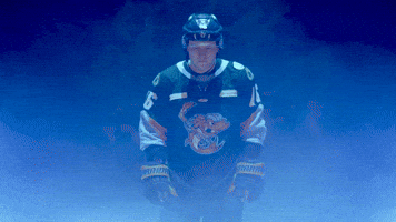 Hawkins GIF by Toledo Walleye