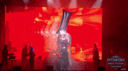 pitchfork music festival GIF by Pitchfork