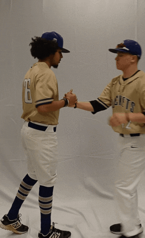 Defibsb GIF by DefianceCollegeAthletics