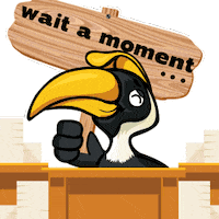 HornbillLtd wait wait a moment Sticker