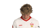 Look Up Vfb Stuttgart Sticker by Bundesliga