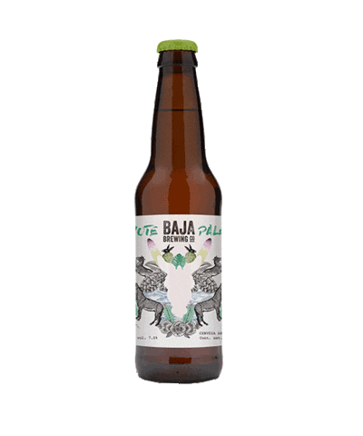 pale ale beer Sticker by Baja Brewing Co.