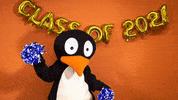 GIF by ST Math