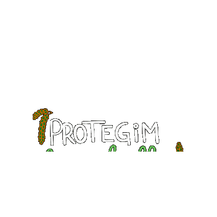 Valencia Protegida Sticker