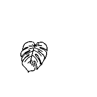 Monstera Deliciosa Plant Sticker