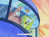 season 4 GIF by SpongeBob SquarePants