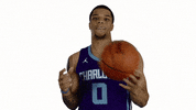 Charlotte Hornets Sport GIF by NBA