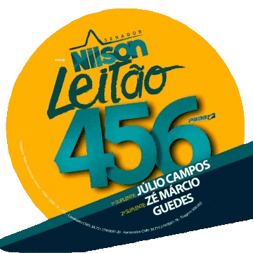 nilsonleitao giphyupload giphythatsgonnabeanofrommedawg mato grosso 456 Sticker