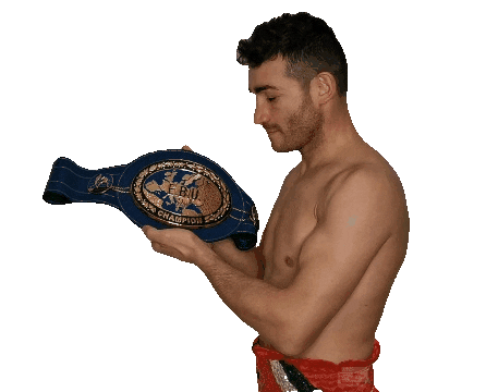 Knockout Fighting Sticker by Matteo Signani - Il Giaguaro
