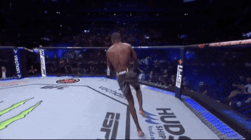 Mixed Martial Arts Sport GIF by UFC