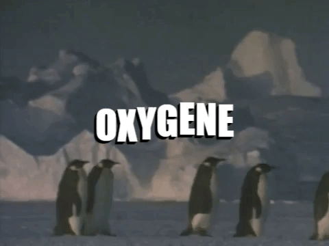 oxygene GIF