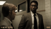 301 GIF by True Detective