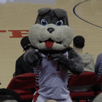 Fresno State Basketball GIF by Bulldog Bread