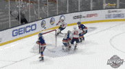 Celebrate Ice Hockey GIF by NHL