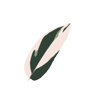Plant Mom Sticker
