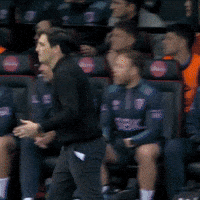 Happy Premier League GIF by AFC Bournemouth