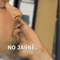 Lobby Volby GIF by Seznam.cz