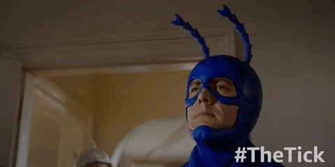 season 1 episode 10 GIF by The Tick