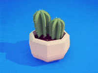 House Cactus GIF by Devon Ko