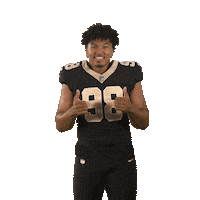 Nfl Football Sticker by New Orleans Saints