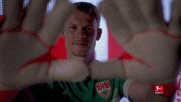 Vfb Stuttgart Football GIF by Bundesliga