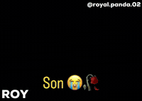 Panda Son GIF