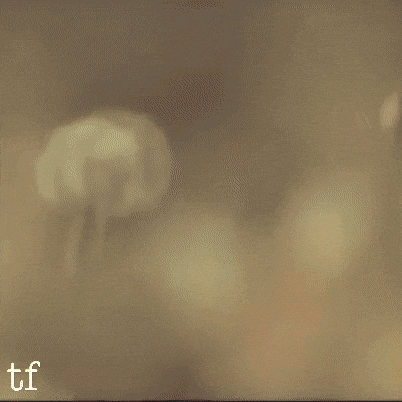 Choi Seung Hyun Ttt GIF