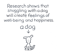 chippythedog love dog dogs chippythedog GIF