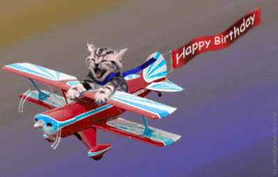 Digital art gif. A kitten sits in a stunt plane with it’s mouth open wide into a smile. Its ears and a scarf  flap in the wind. A banner attached to the plane flies behind it that says, “Happy birthday.”