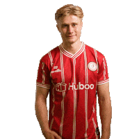 Football Facepalm Sticker by Bristol City FC