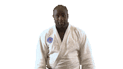 World Champion Sport Sticker by Paris Saint-Germain Judo