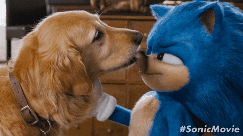 Sonicmovie GIF by Sonic The Hedgehog - Find & Share on GIPHY