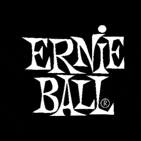 ERNIE_BALL ernieball GIF