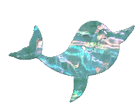 Finless Porpoise Vintage Sticker by shellang