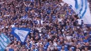 Football Soccer GIF by FC Schalke 04