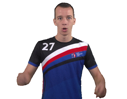 Korfbalcz giphyupload cesko korfbal czechia Sticker