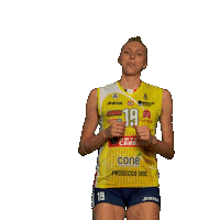 Pantere Imoco Sticker by ImocoVolley