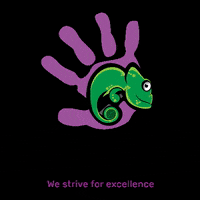 ChameleonSchools diversity learningmadefun chameleonschools celebratinguniqueness GIF