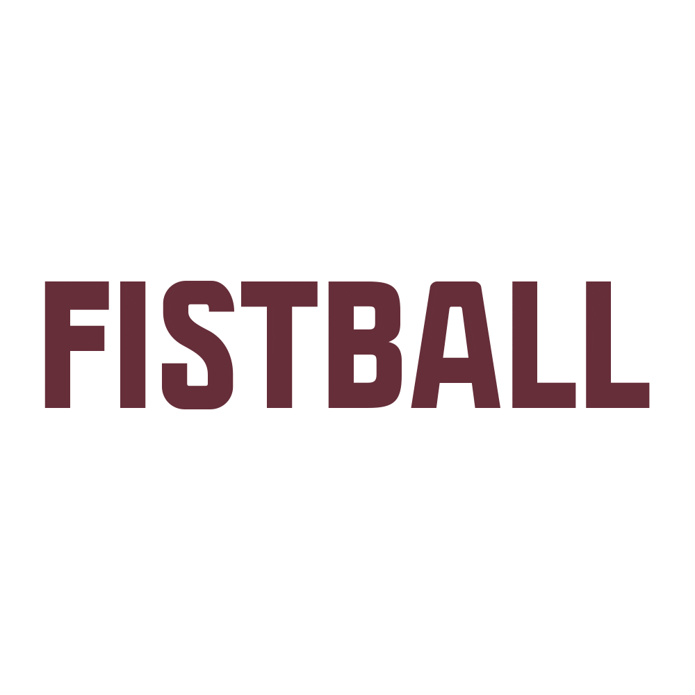 Sport Ball Sticker by Faustball Traun - St.Martin