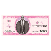 Money Dollar Sticker by prettylittlething