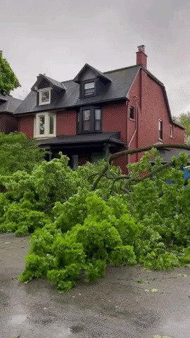Strong Storms Cause Havoc in Ontario