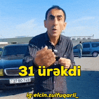 Elçin Zülfüqarlı GIF