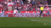 jonas hector football GIF by 1. FC Köln