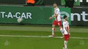 angry jonas hector GIF by 1. FC Köln