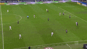 1 Fc Cologne Football GIF by 1. FC Köln