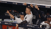 new york yankees baseball GIF by MLB